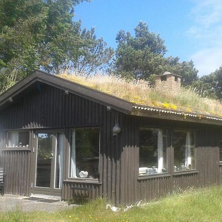 Vila Konkylien Pandrup Exteriér fotografie